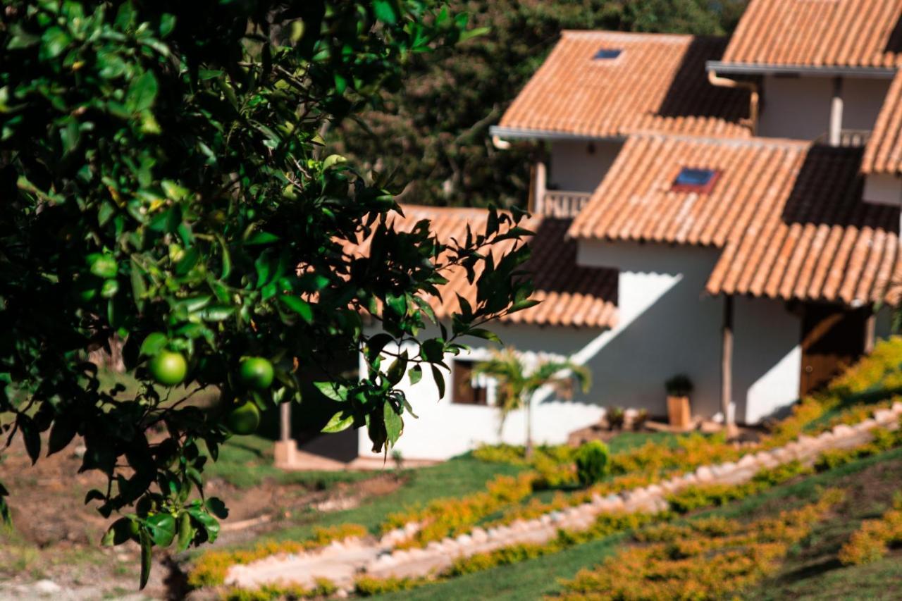 Terrazas De Guadalupe Hotel Ngoại thất bức ảnh